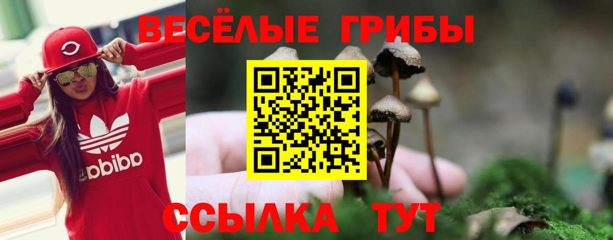 Сердобск  Галлюциногенные грибы Cubensis  Псилоцибиновые грибы мухоморы  Вход с VPN 